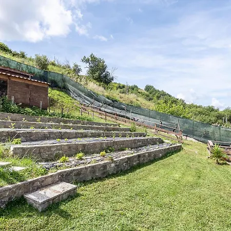 Gorgeous Home In Torchiara Torchiara